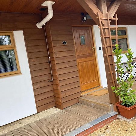 Beechwood Leilighet Bristol Eksteriør bilde